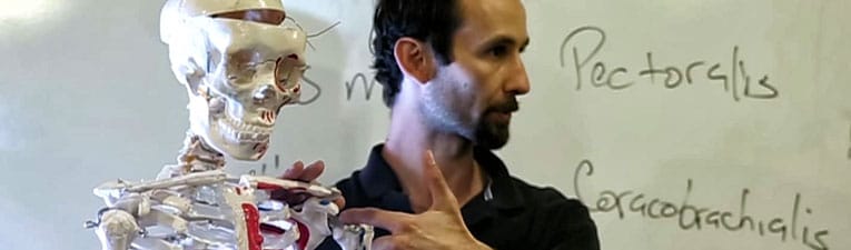 Picture of a CSTCM faculty member explaining an acupuncture point on a model skeleton.