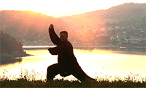 Picture of a person doing Tai Ji.